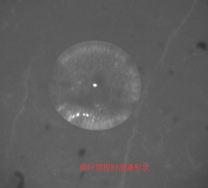 荷葉接觸角頂視時(shí)液滴形狀
